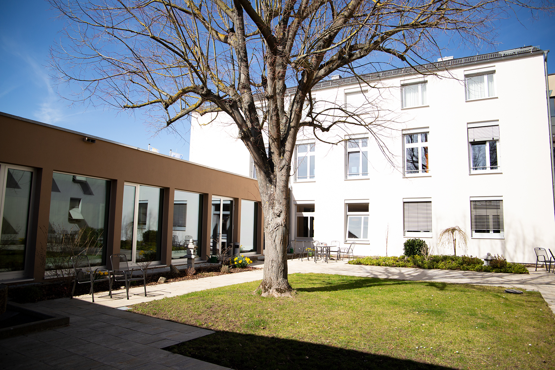 Garten mit Wiese des Gästehauses